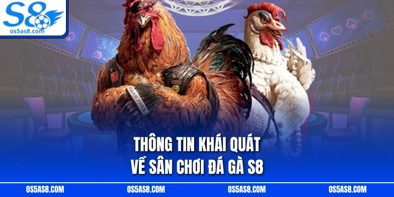 Thông tin khái quát về sân chơi đá gà S8